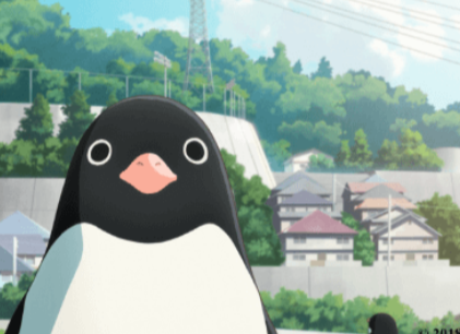 Anime:77ddsm9bsp0= Penguin