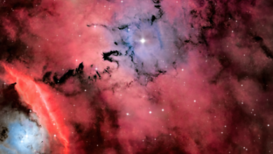 Dragon:K9p5exl1sa8= Nebulae