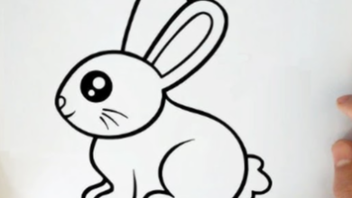 Drawing:Qckadq6trwq= Easy:Ya7ewk5rhfw= Bunny