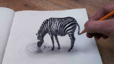 Drawing: Ufvevbewgs8= Illusion