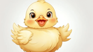 Clipart:4ipe4a1gu68= Chick