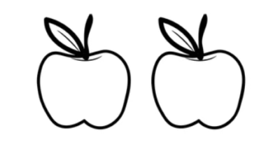 Outline:E-Pvmbc6ohk= Apples