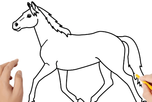 Dibujo:0tgb0unl6qy= Caballo