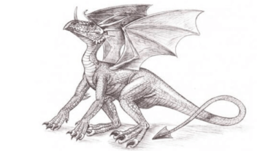 Dragon:8otn5y1py0g= Drawing