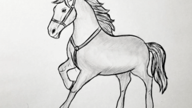 Drawing: 0tgb0unl6qy= Horses