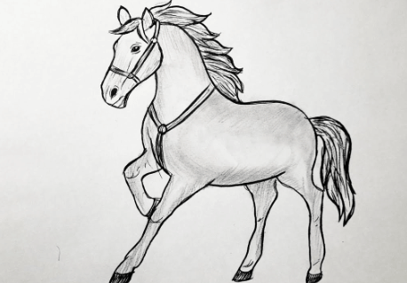 Drawing: 0tgb0unl6qy= Horses