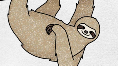 Drawing:9tpejibhbbo= Sloths