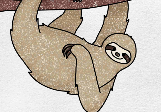 Drawing:9tpejibhbbo= Sloths