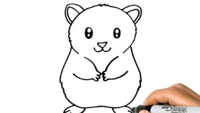 Drawing:K7otkxxtlgi= Hampster