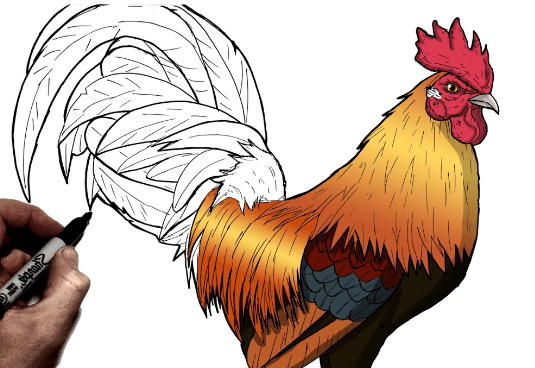 Drawing:Kqu30c7x4xo= Roosters