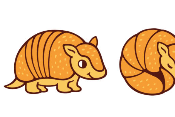 Drawing:Pjyguv9kioe= Armadillos