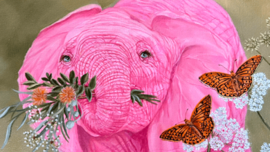 Pink:D6cpfpnz8cg= Elephants