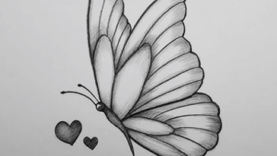 Butterfly:Q5pbirjjkfa= Drawing