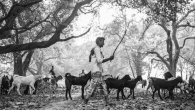 business environment analysis overview