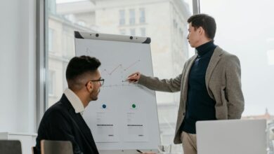 business profile analysis overview