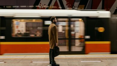 elevate your online business