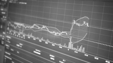 maximize online growth platform